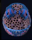 Pisces Paper Vessel Interior