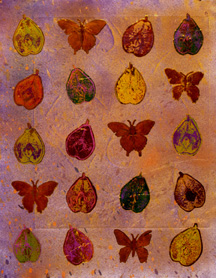 Butterflies & Pears